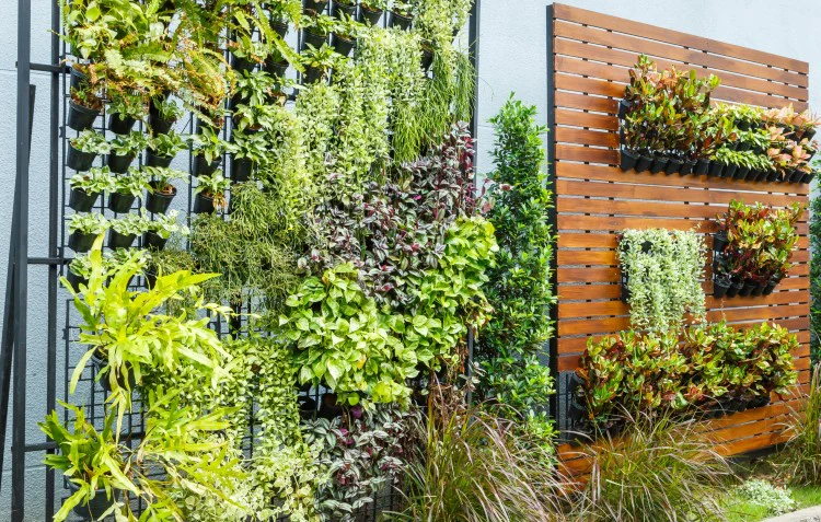 Best Hanging Plants For Vertical Greenery