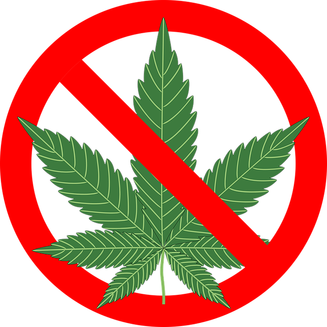 cannabis, hemp, leaf