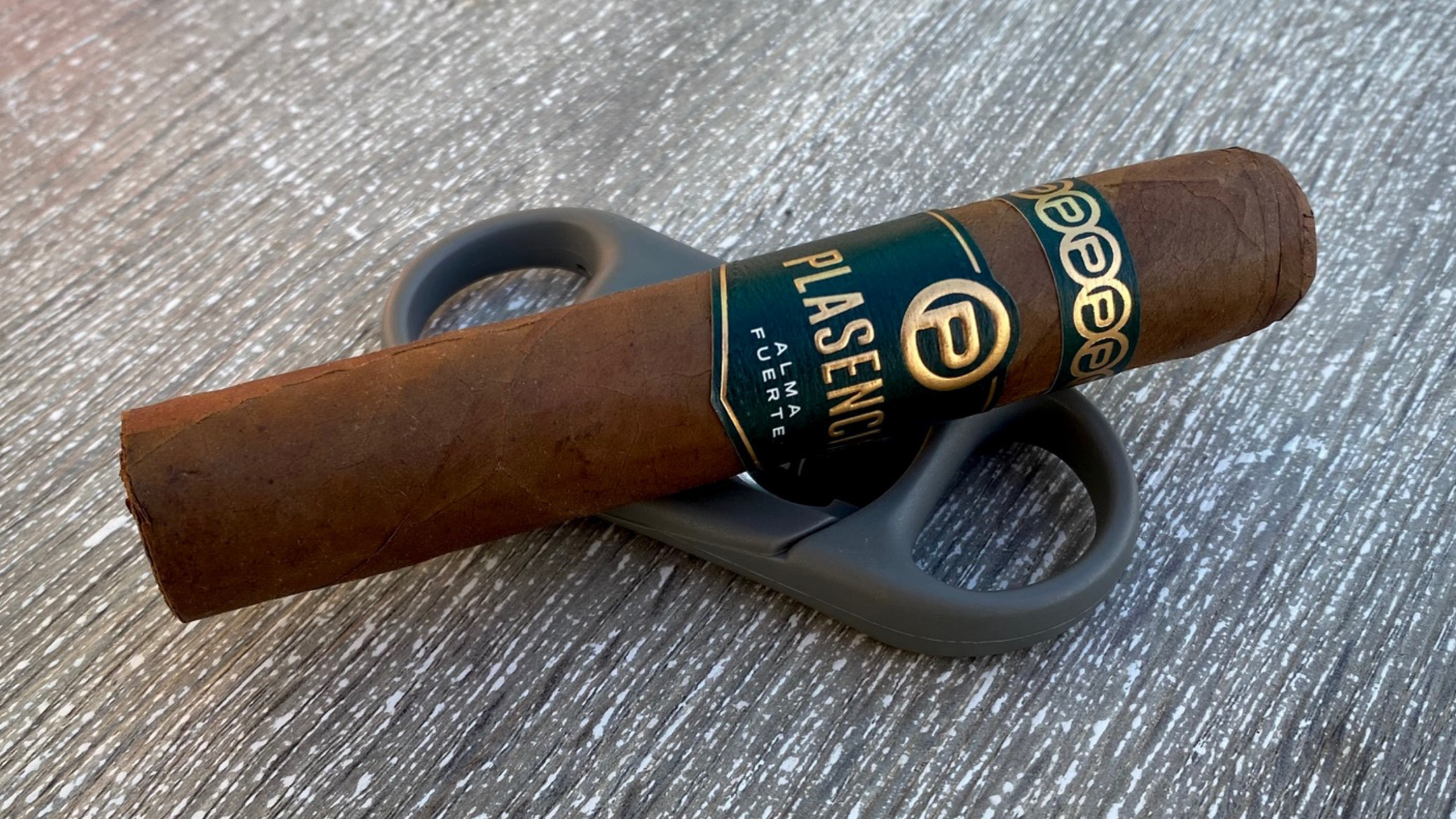 Plasencia Alma Fuerte First Impressions