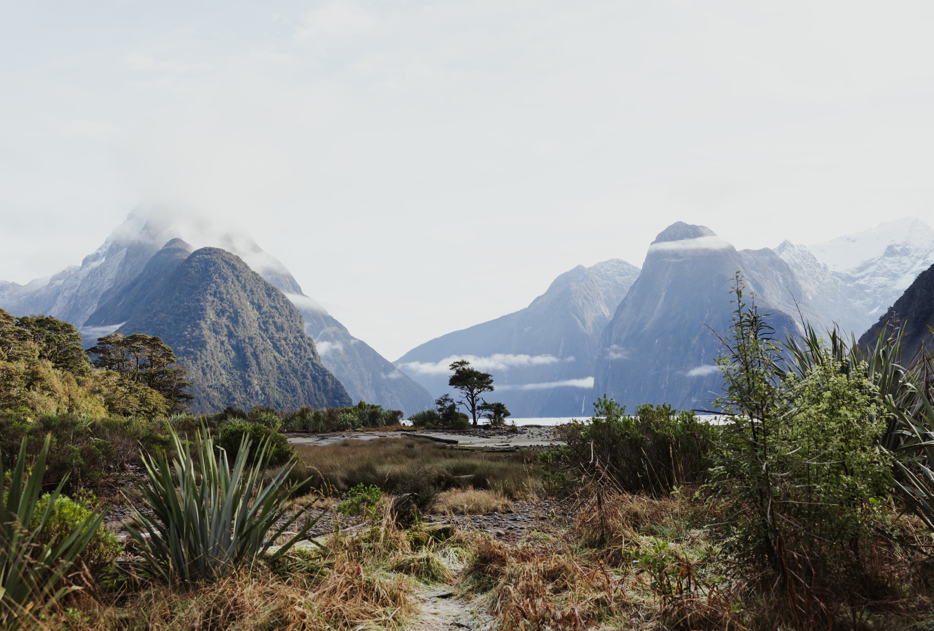 Stunning panoramic view of Milford Sound fjord in New Zealand with mountains and water under cloudy sky.