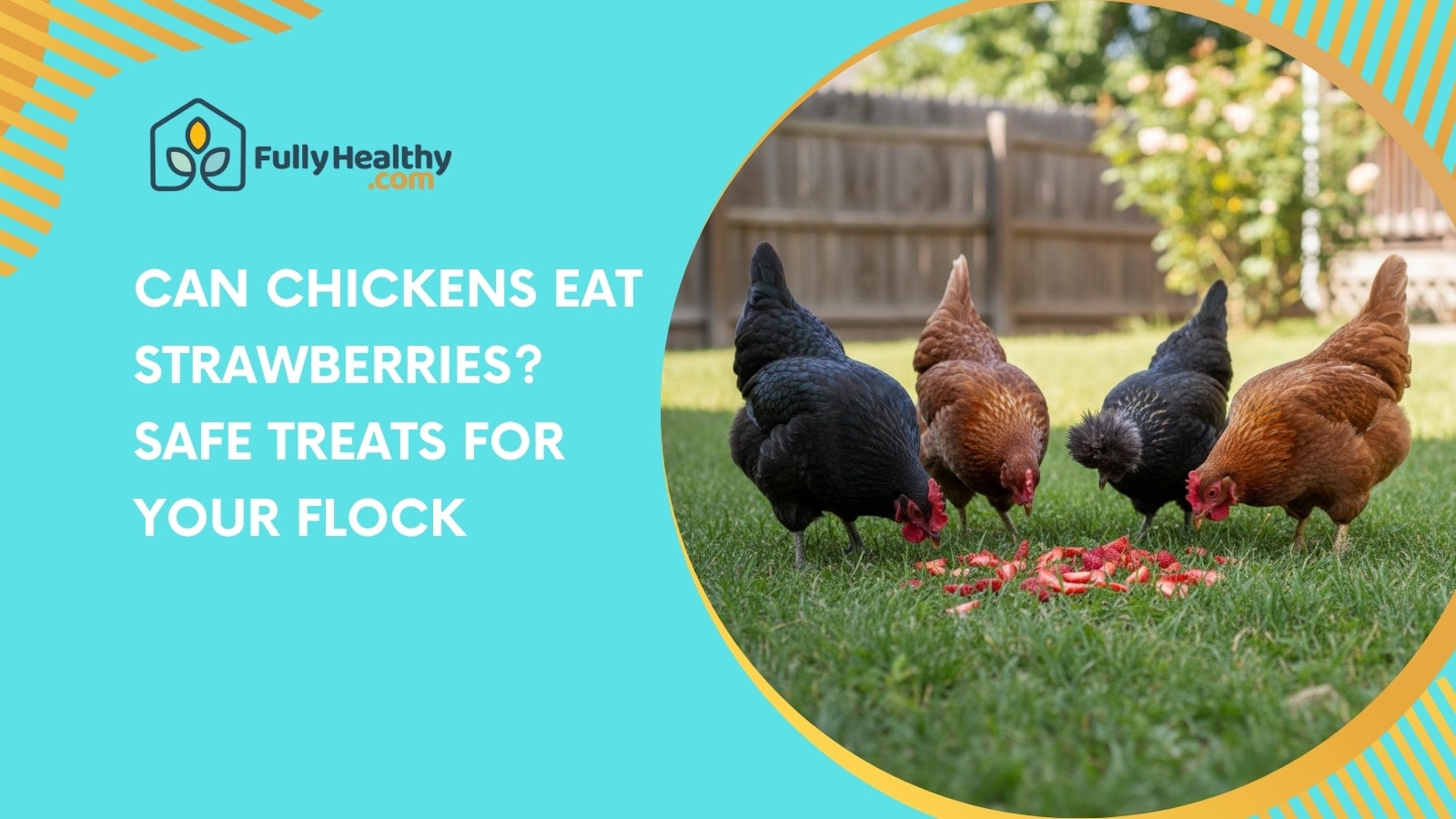 Can Chickens Eat Strawberries? Safe Treats for Your Flock