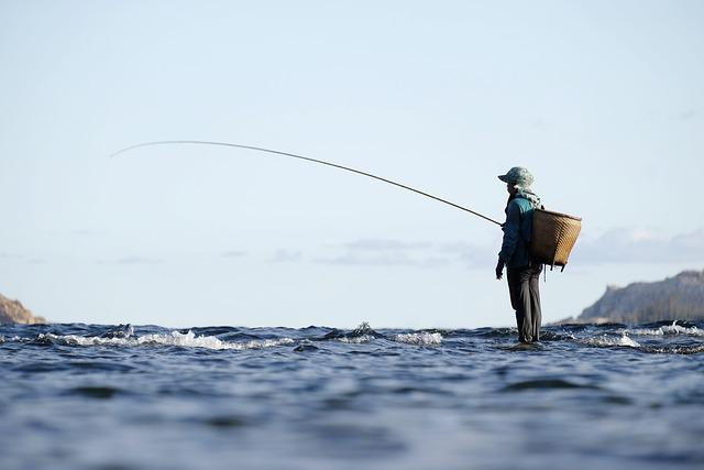 fishing, fisherman, fishing rod