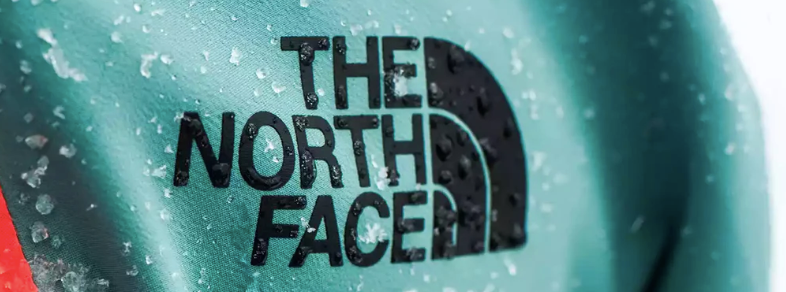 the north face used brand registry support to protects its active registered trademark