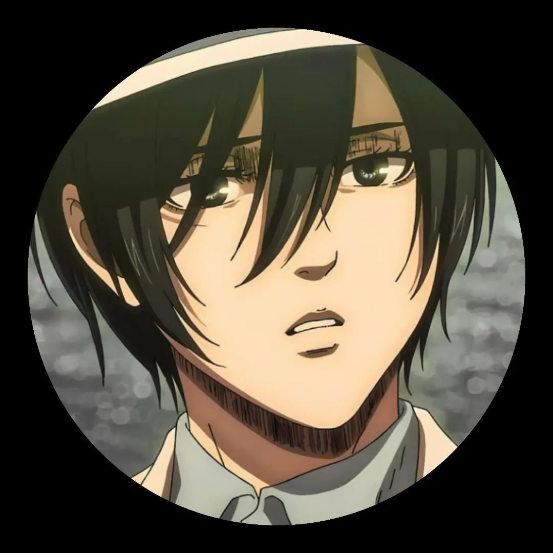 Attack On Titan PFP (Mikasa)