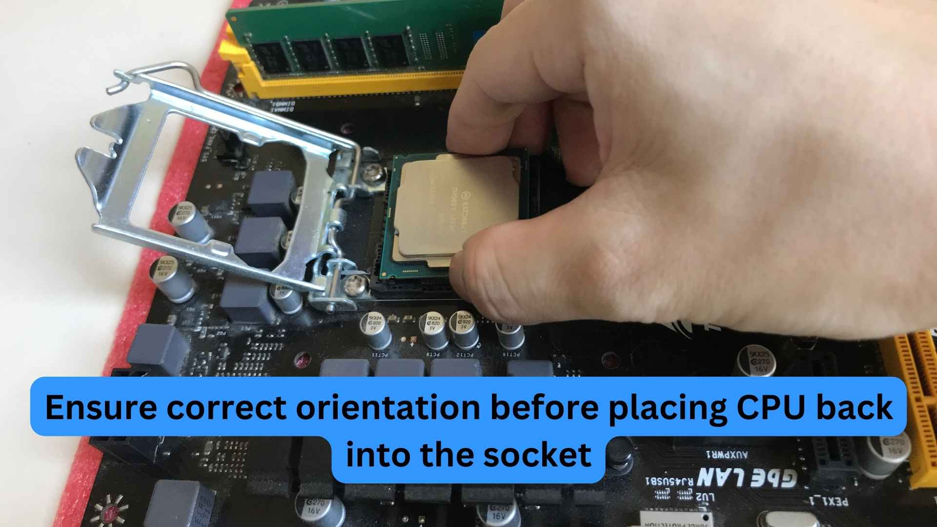 Ensure correct orientation before placing CPU back socket