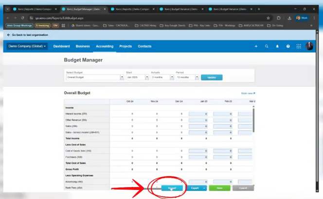 Xero Budget Creation and Tracking Guide for Malaysian SMEs 13