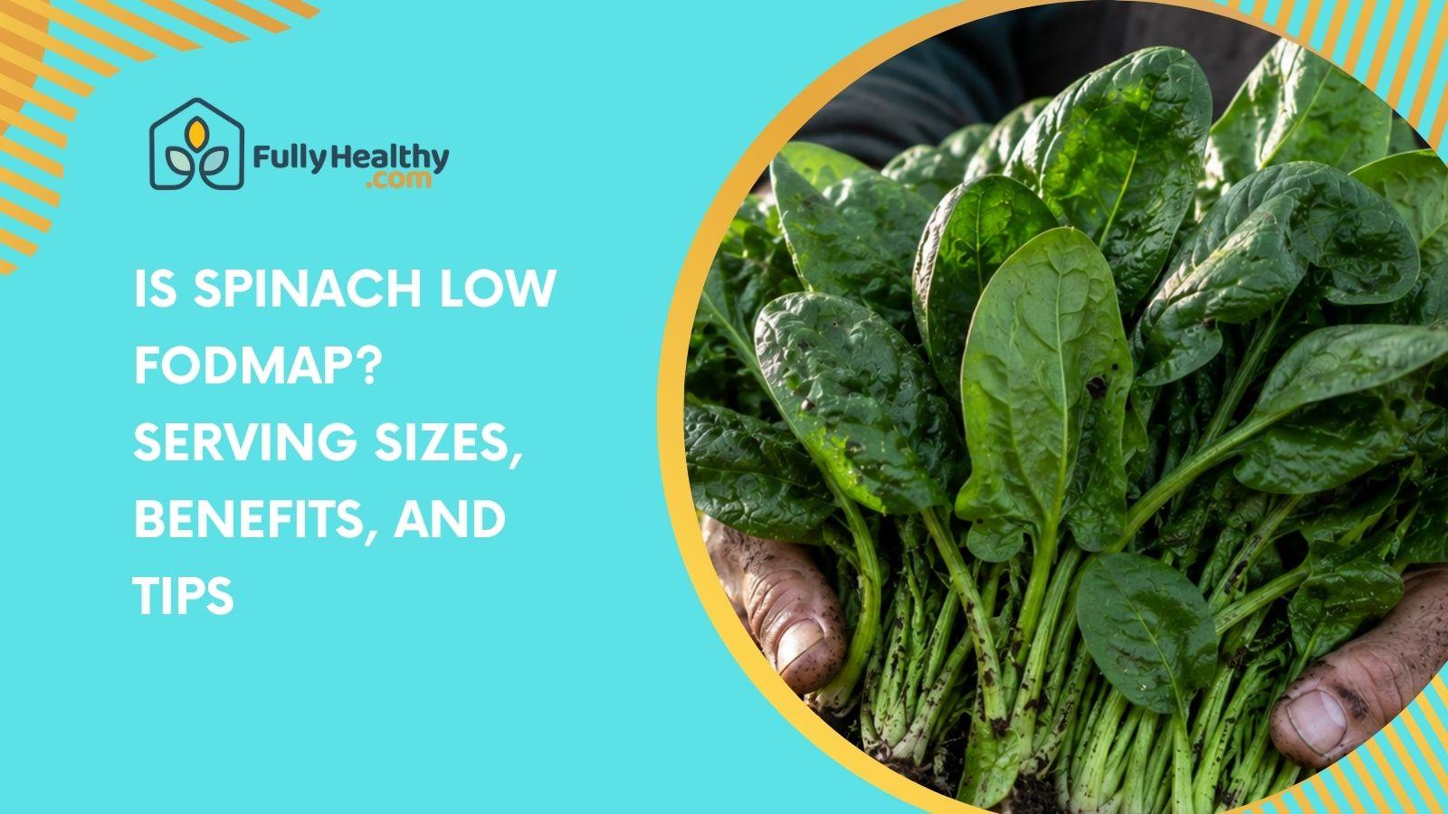 Is Spinach Low FODMAP? Serving Sizes, Benefits, and Tips