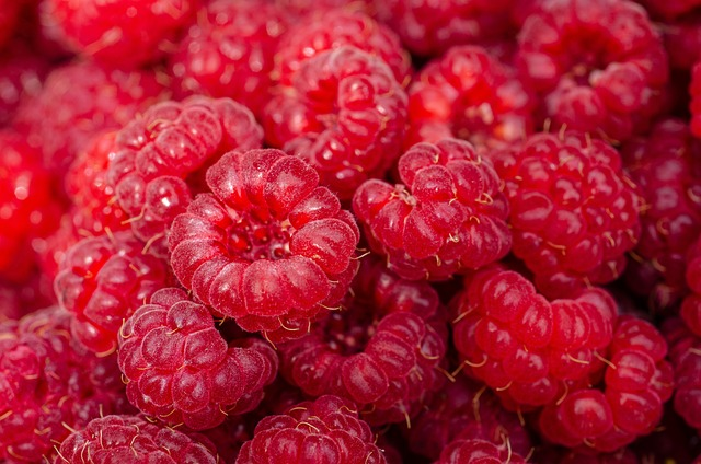raspberries, fresh, healthy
