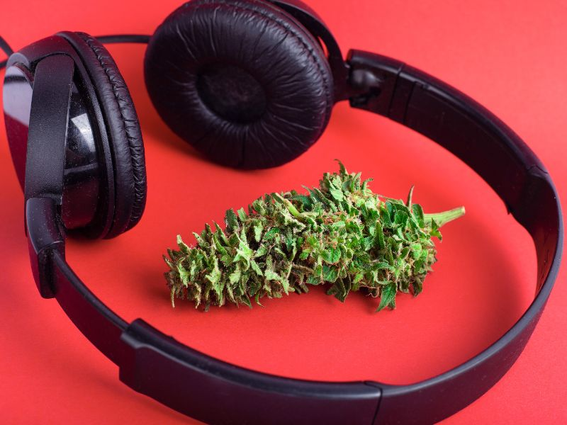 cannabis flower with music headphones