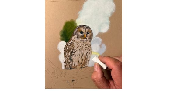 pastel pencils, owl painting