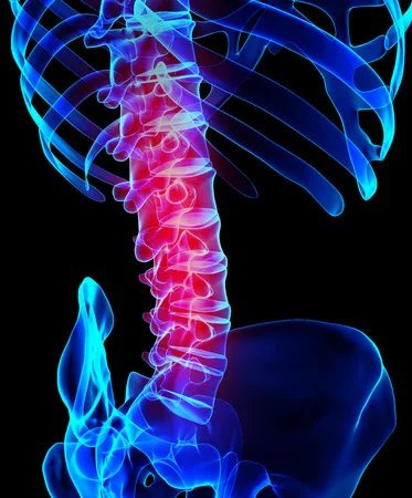 lumbar spine