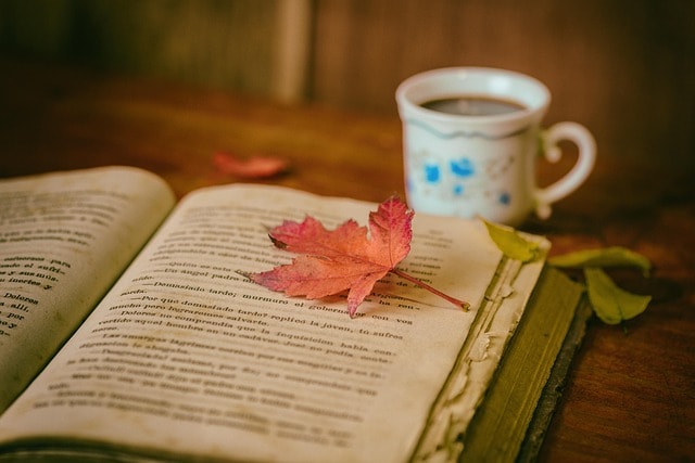 A book with a leaf on the top page, and a cup of coffee next to it.