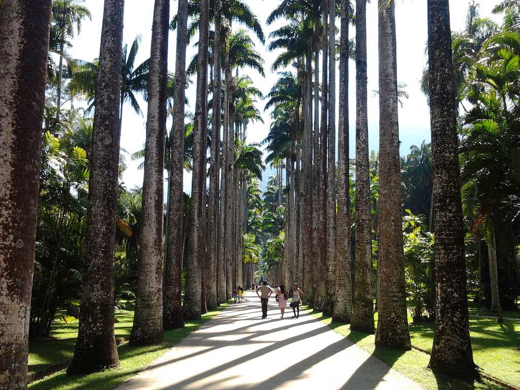 Jardim Botânico, Rio de Janeiro. Imagem: feliven - Flickr