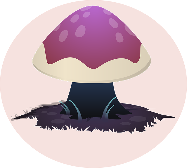 mushroom, pink, nature