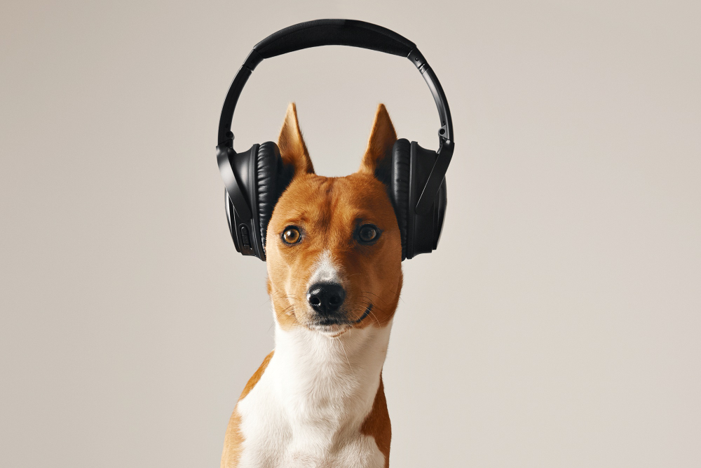 Dog headphones noise outlet cancelling