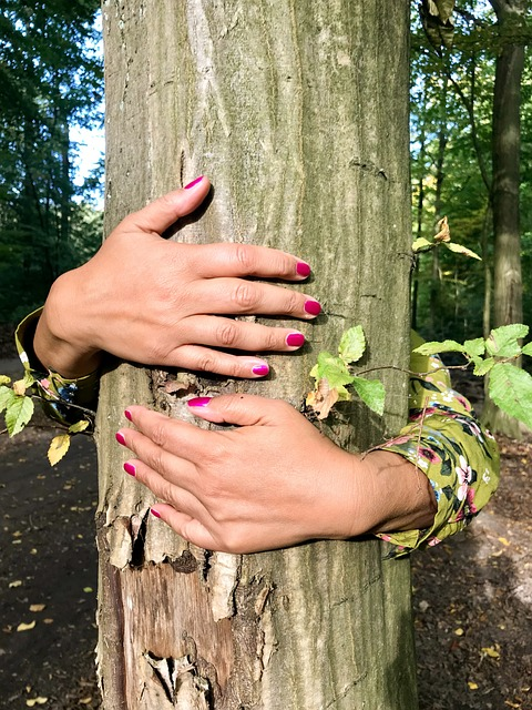 tree, hands, hug