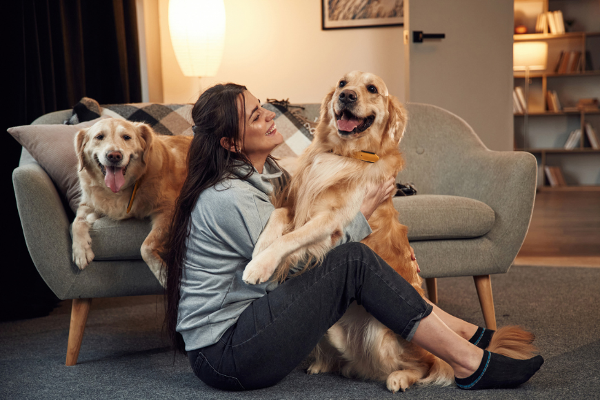 Introducing A New Dog To Your Home: A Step-by-Step Guide