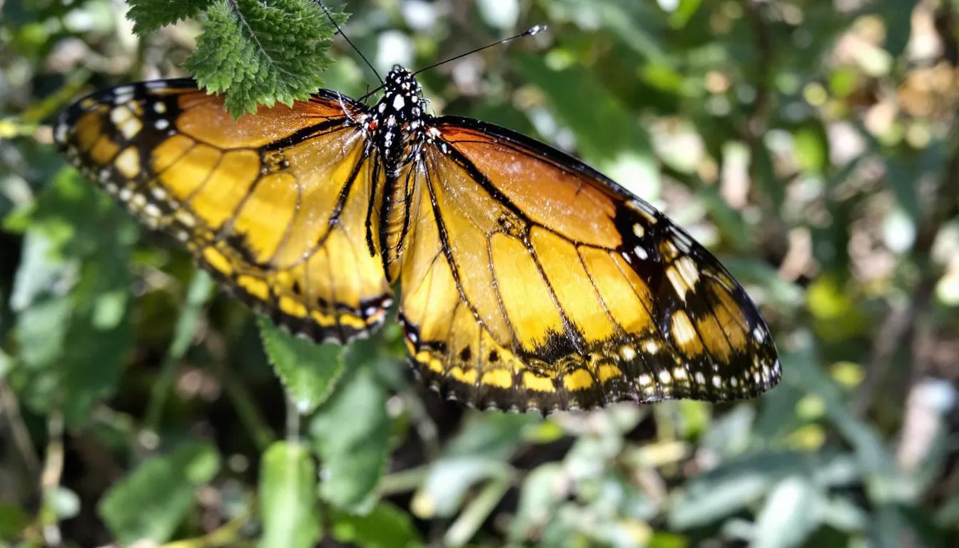 The image features a stylish jewellery box designed to elegantly organize and display treasured pieces such as necklaces, earrings, and rings. This chic accessory not only protects jewellery but also enhances the decor of any bedroom or dressing room, making it a perfect present for beauty lovers and house proud friends.