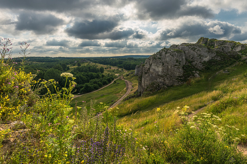 Jura Karkowsko-Częstochowska