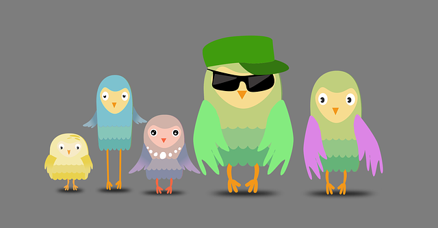 different sizes of owl cartoons representing the demographic data that your dashboard shows