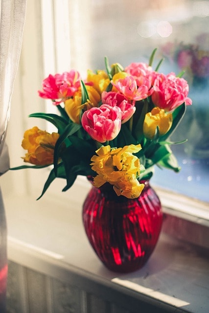 vase, flowers, window