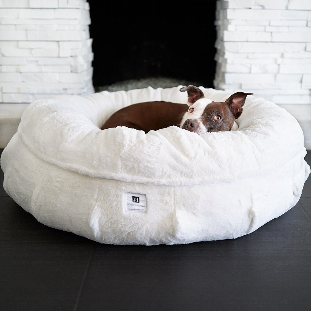 Ruby enjoying her luxurious dog bed, the Raine Puff orthopedic dog bed and a link to purchase.