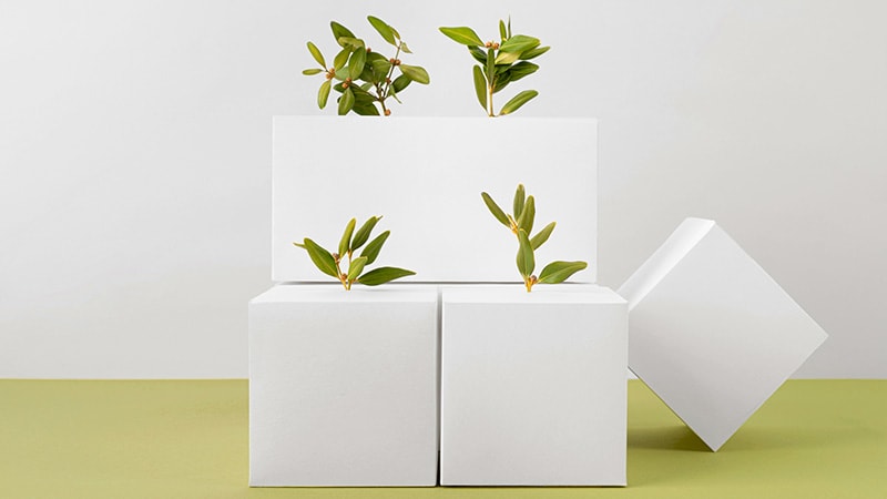 biodegradable stack of white boxes