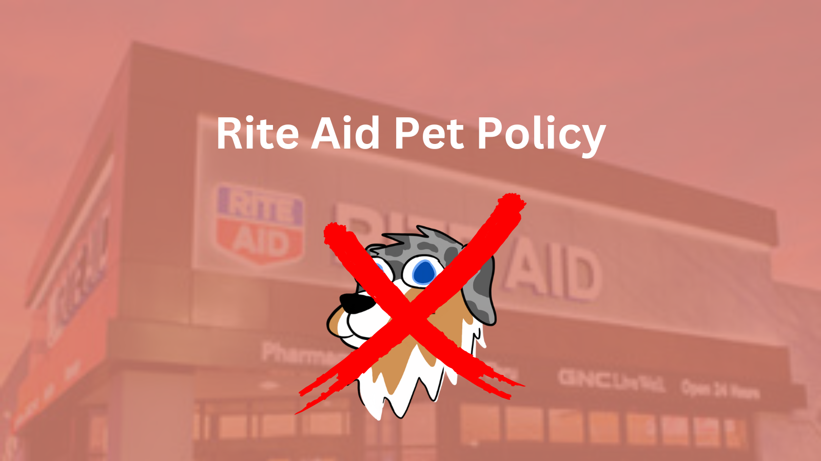 Image Text: "Rite Aid Pet Policy"