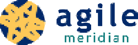 Agile Meridian Logo in Minecraft format.