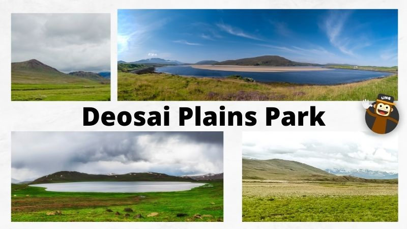 Deosai Plains National Park landscape in pakistan