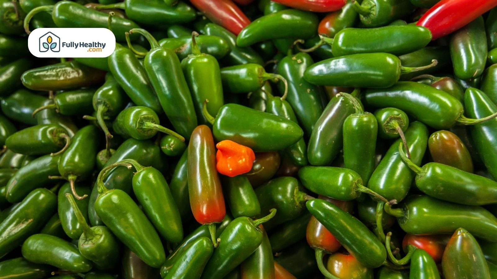 Fresh green jalapeños with one orange pepper in the mix