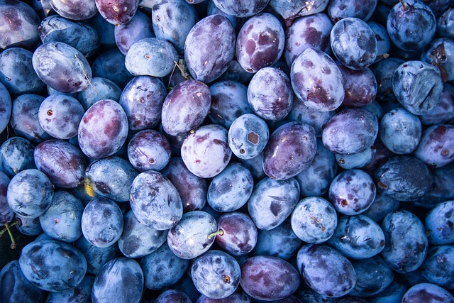 plum, fruit, food