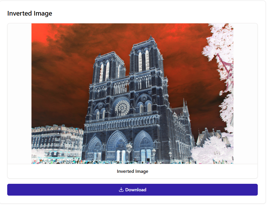 Download Your Inverted Image
