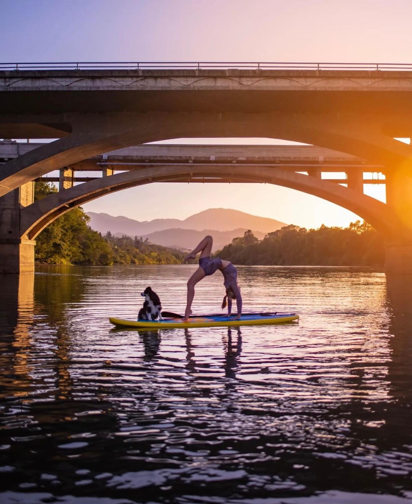 sup yoga on a paddle board