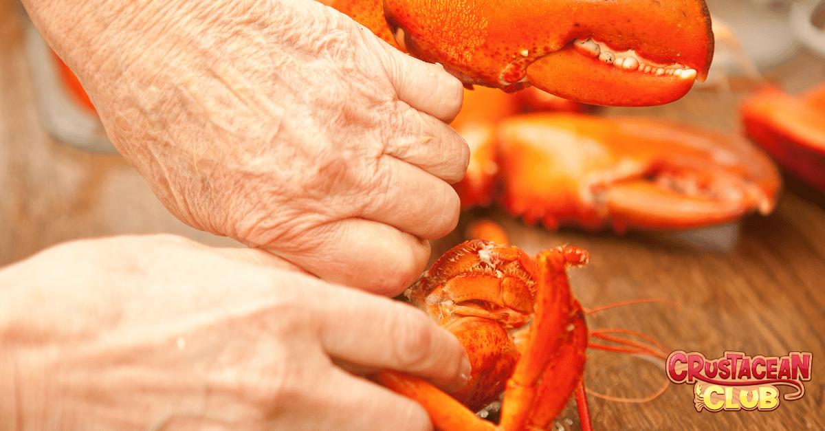 Preparing live lobster for cleaning