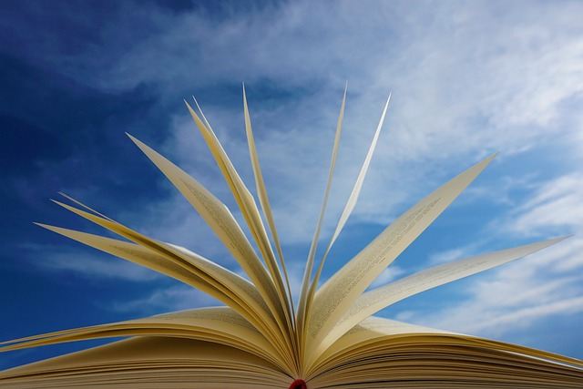 The AI writer is trained on a large text corpus.s