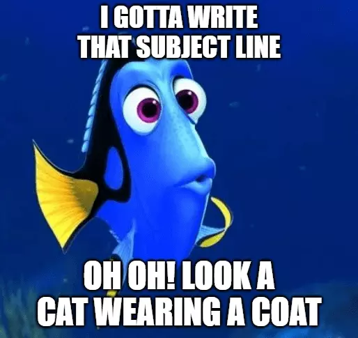 subject line meme