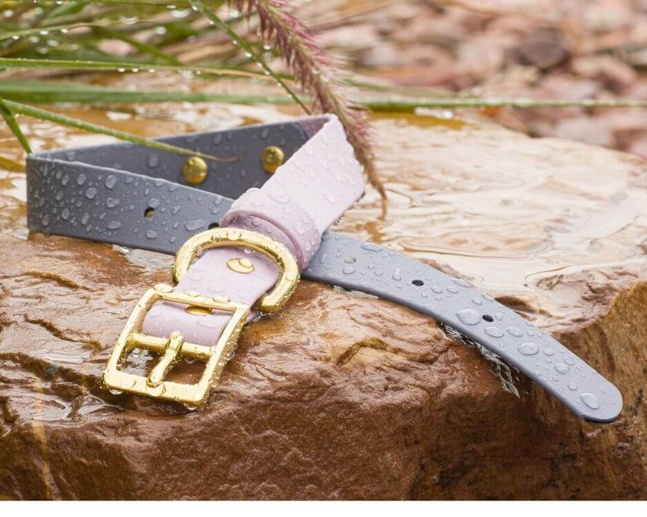 A waterproof dog collar keeping a pup safe and dry in wet environments