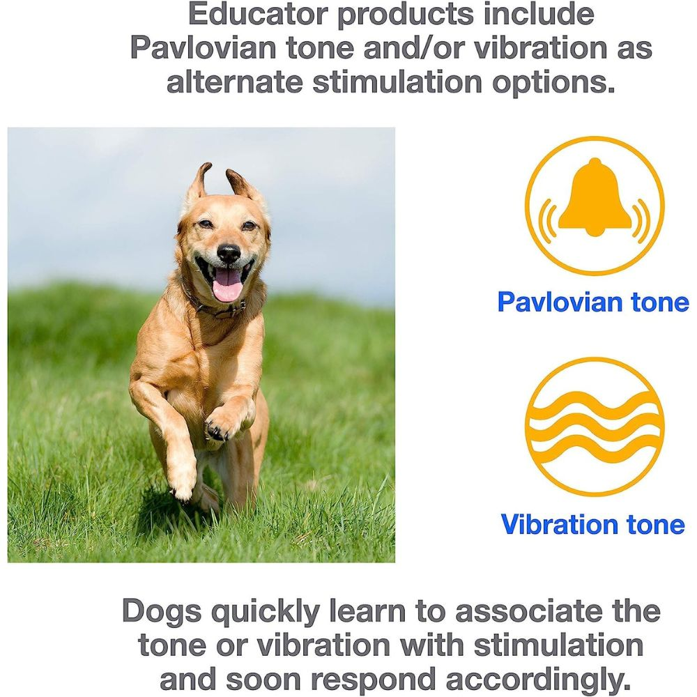 Educator E-Collar Humane Dog Training Collar