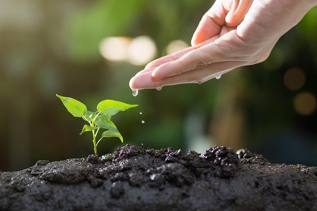 Gardening without gloves is grounding