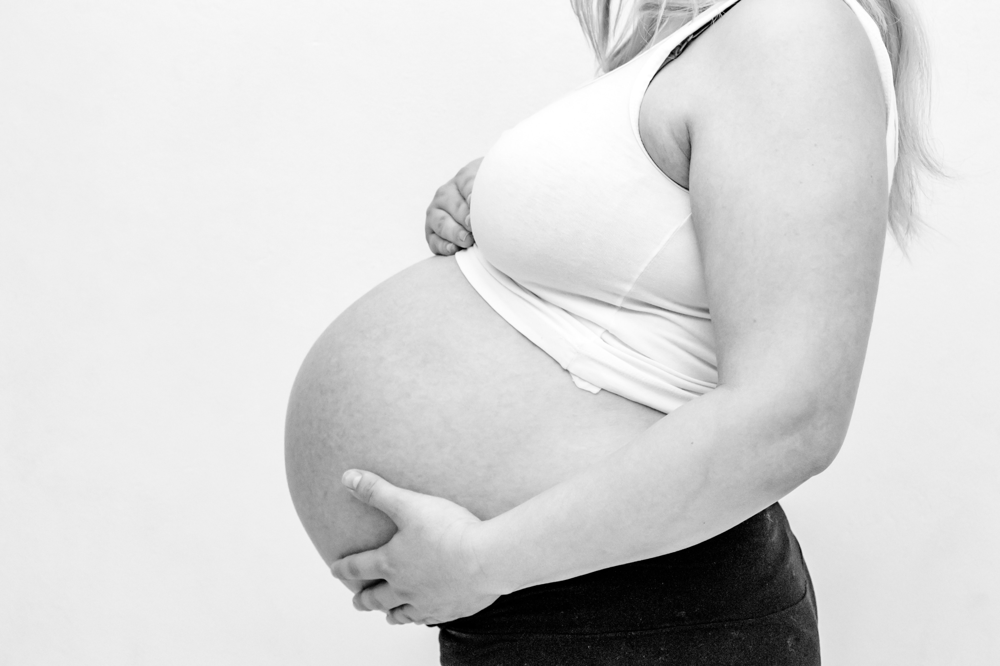 pregnancy planner holistic birth