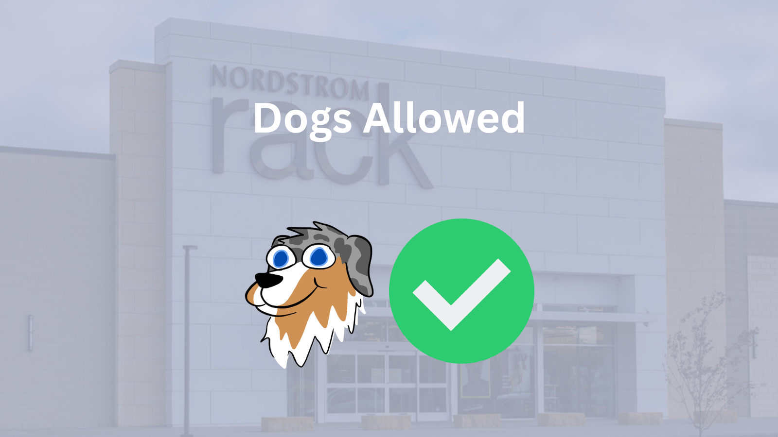 Image Text: "Dogs Allowed"