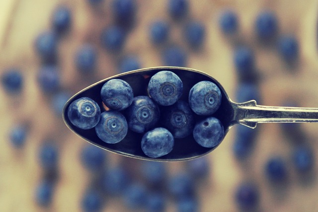 Blueberries Hiking Snack