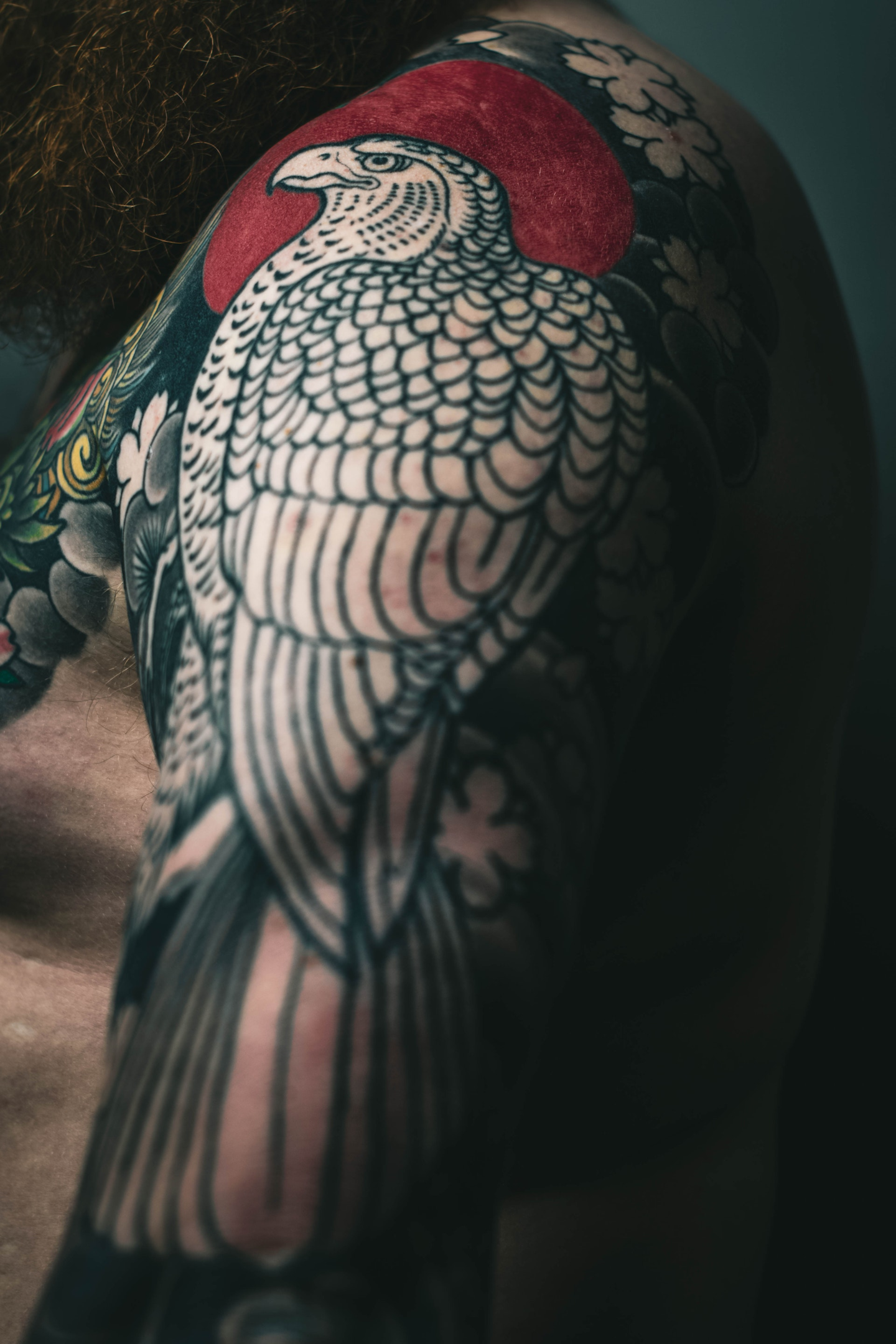 A Bird Tattooed Man