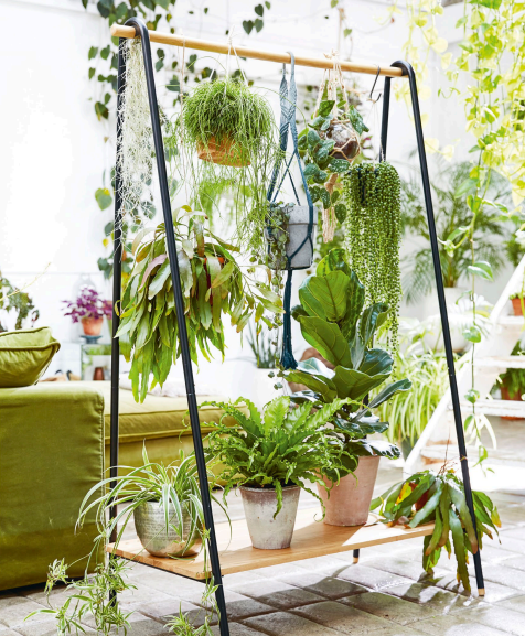 tension rods are excellent for hanging plants