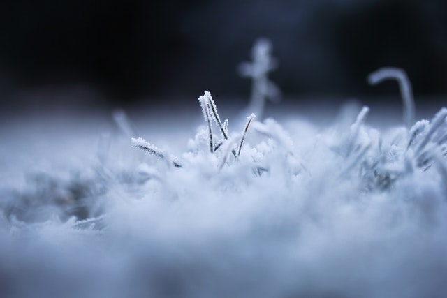 Carpet fibers up close with dust particles