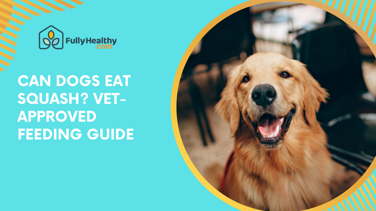 Can Dogs Eat Squash? Vet-Approved