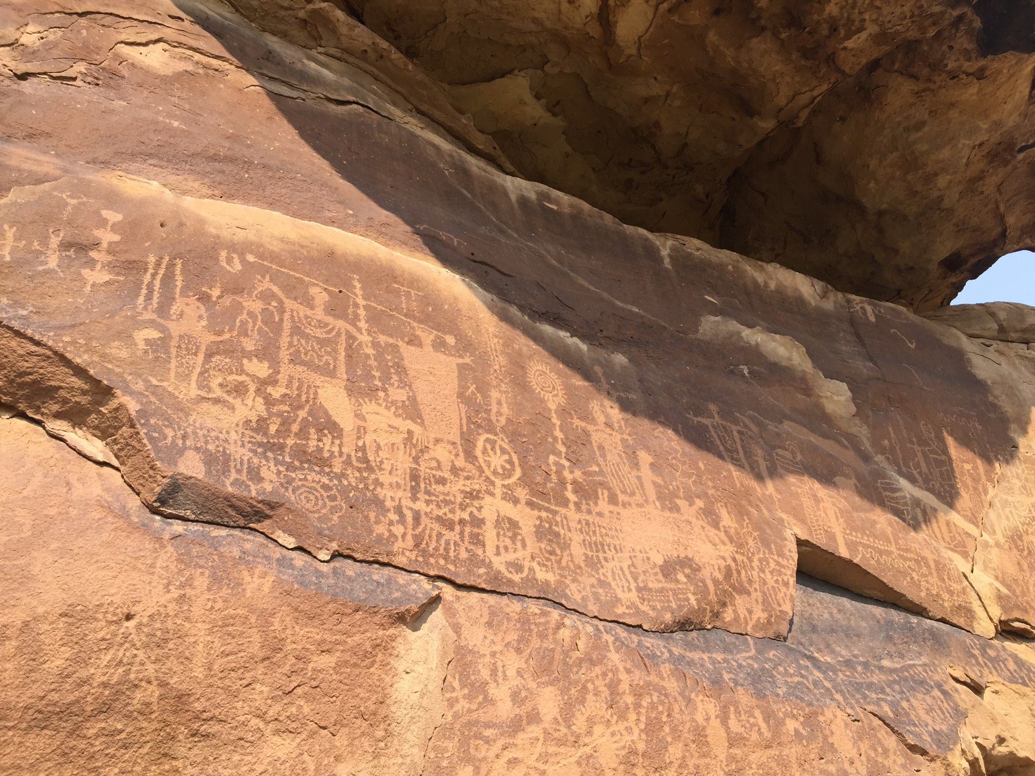 A petroglyph panel in the canyon. Photo by Ali Waller