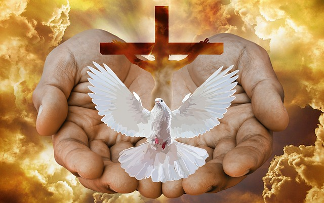dove, cross, hands