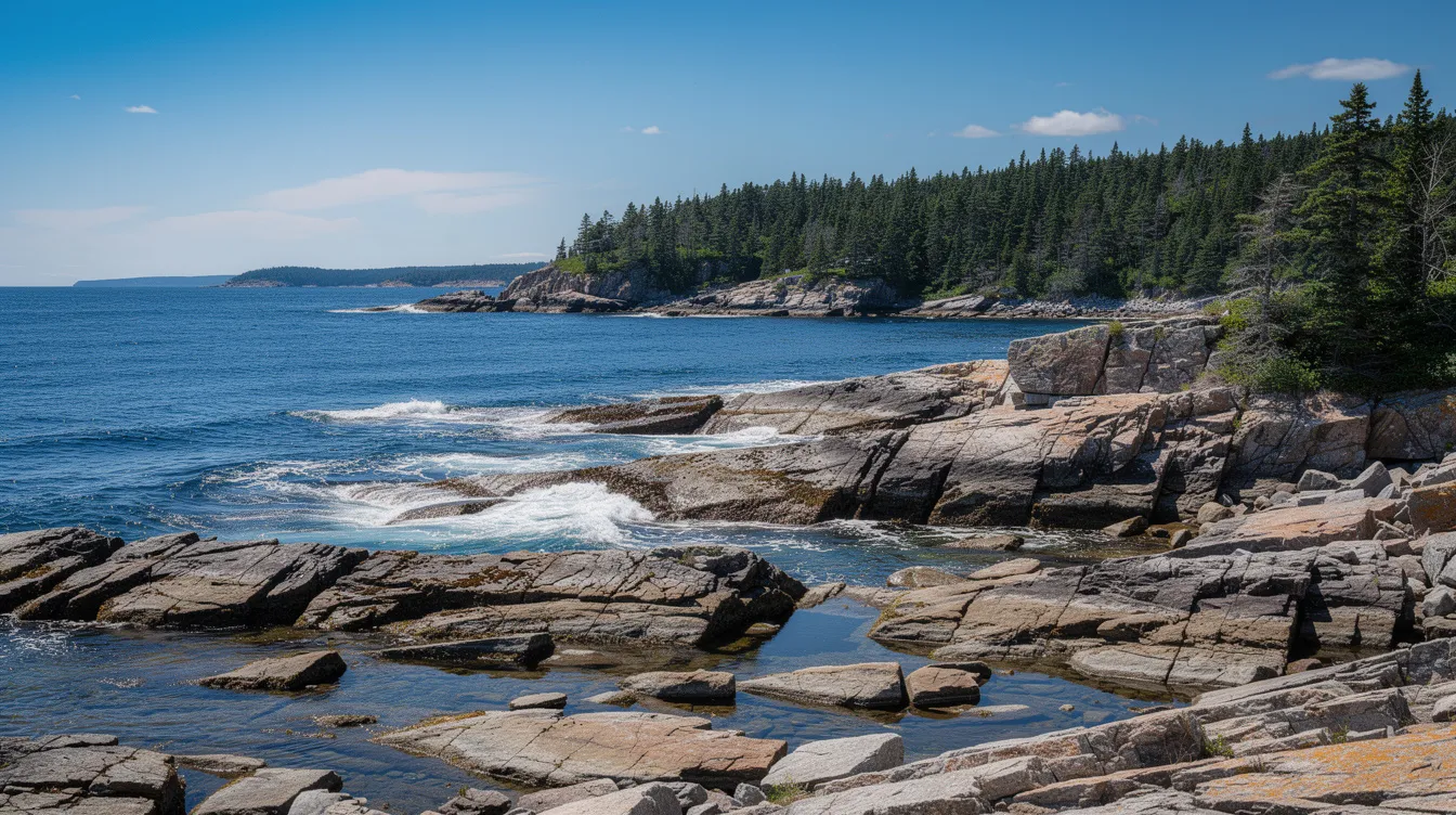 The image showcases a picturesque Maine coastline featuring rugged rocky shores and tall pine trees set against a clear blue sky. This scenic view reflects the natural beauty of Maine, a state known for its outdoor landscapes and the legal cultivation of hemp products under state law.
